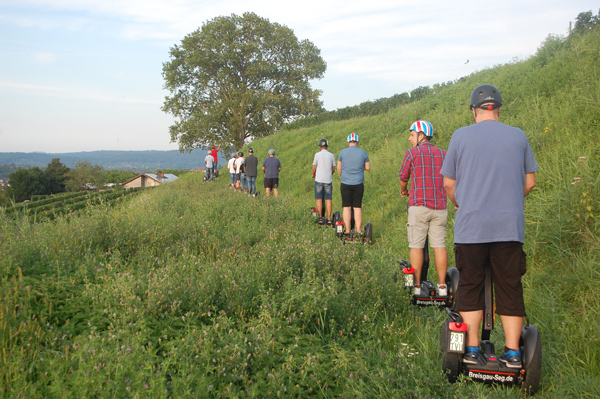 Segway-Tour "Weinberge, Flair & Kultur" ab Weingut Weber