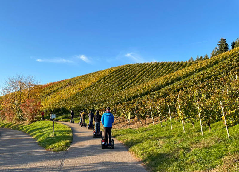 Segway-Tour "Buchholzer Rebenbummler"
