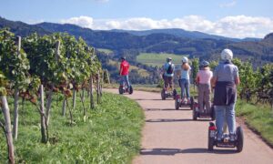 Segway-Tour durch den  Buchholz Weinberg