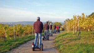 Segway-Event durch den  Buchholzer Weinberg